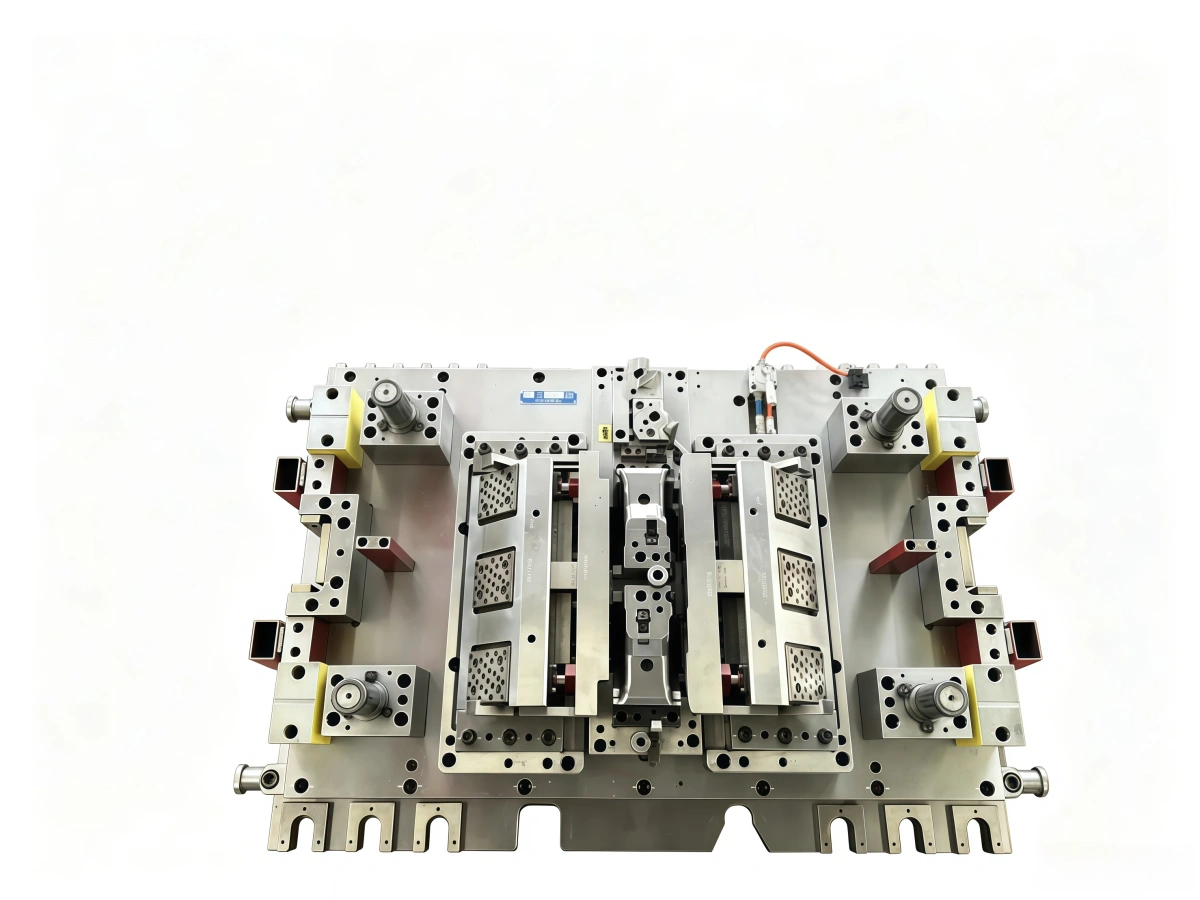 D50-Lower